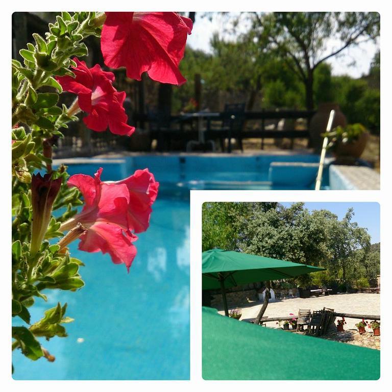 Valdolazaro Guest House Los Navalucillos Exterior photo