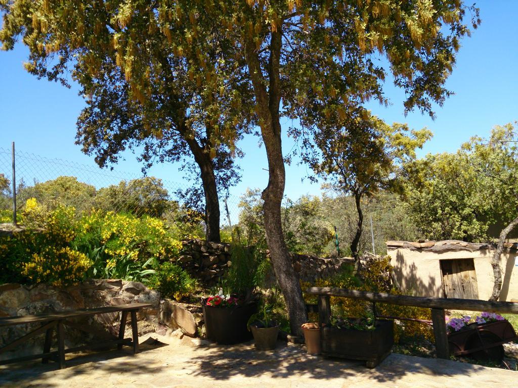 Valdolazaro Guest House Los Navalucillos Exterior photo
